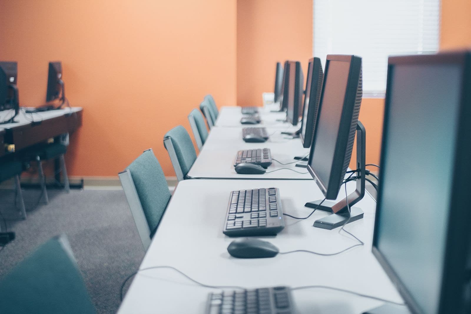 A long row of workstations with monitors, keyboards and mice lined up in an office computer room
